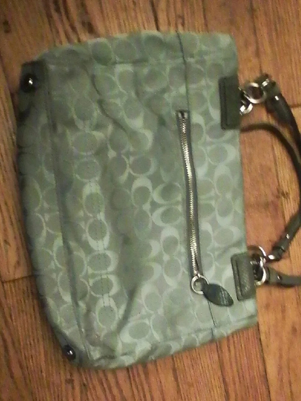 Coach Signature Penelope Bag In Silver